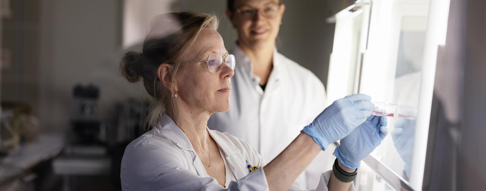 Kaksi naista laboratoriotakeissa katselevat näyteputkiloa
