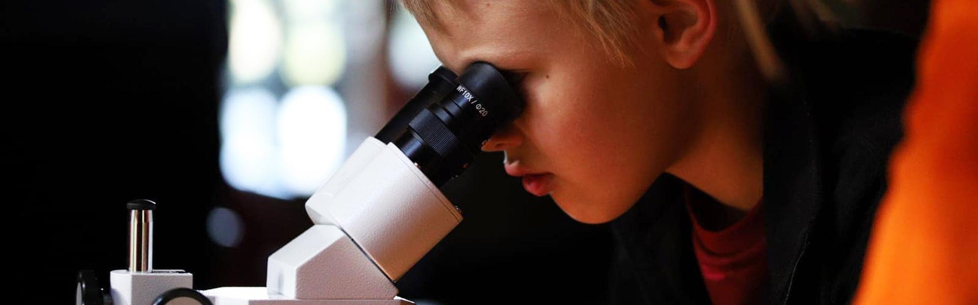 Poika katsoo mikroskooppiin